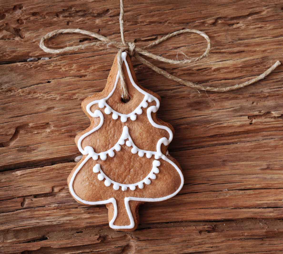 Різдвяні канікулиРіздвяні канікули