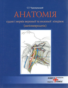 Анатомія судин і нервів верхньої та нижньої кінцівок (ангіоневрологія)